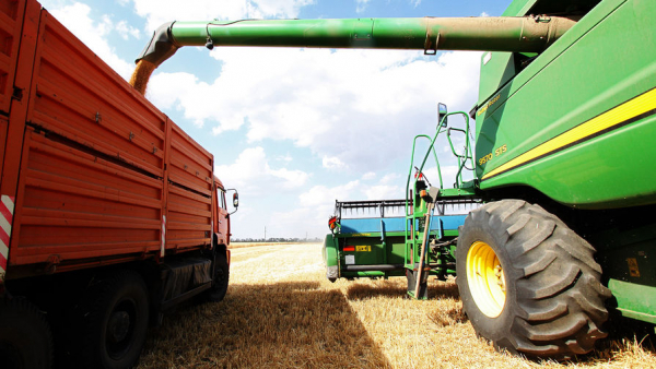 Bloomberg: ограничение экспорта российской пшеницы вызовет рост цен